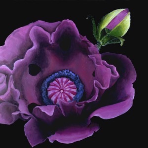 Poppies for Georgia O’Keefe